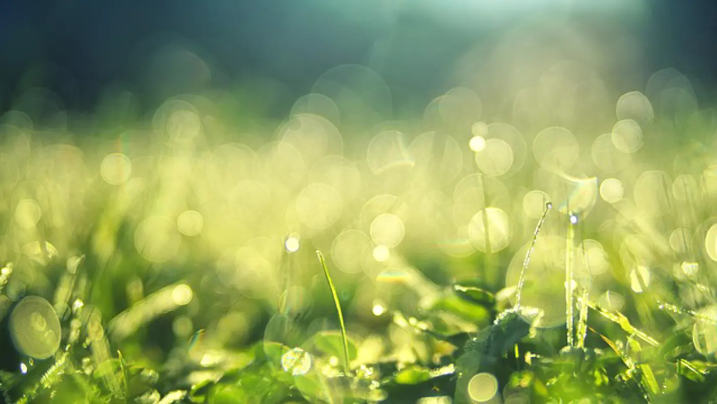 Gras1